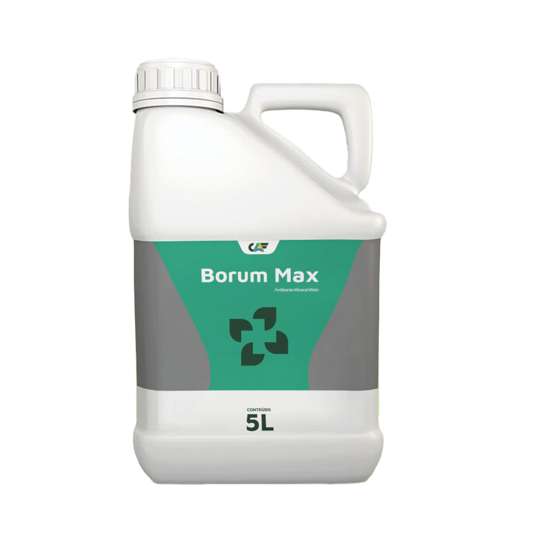BORUM MAX