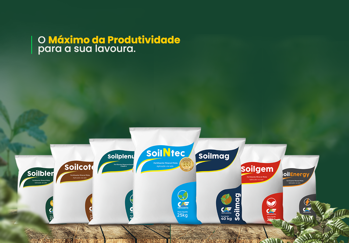 Nutrição via solo